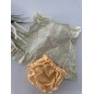 CONJUNTO TULIPA